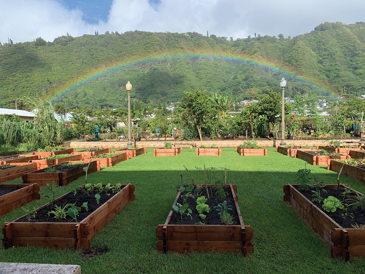 Community Garden Hawaii