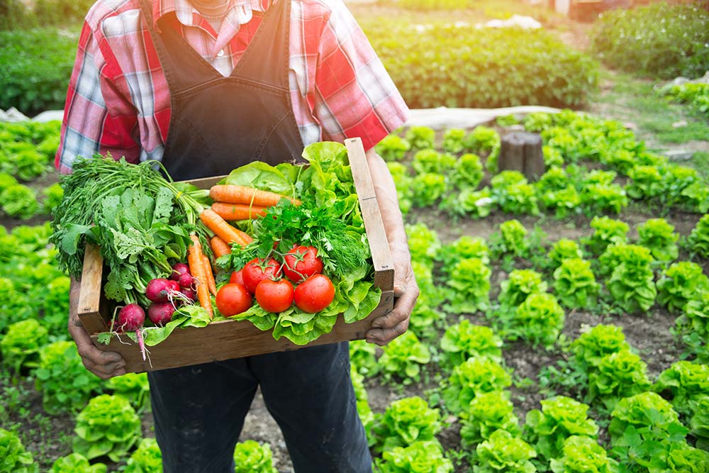 Farm to Families