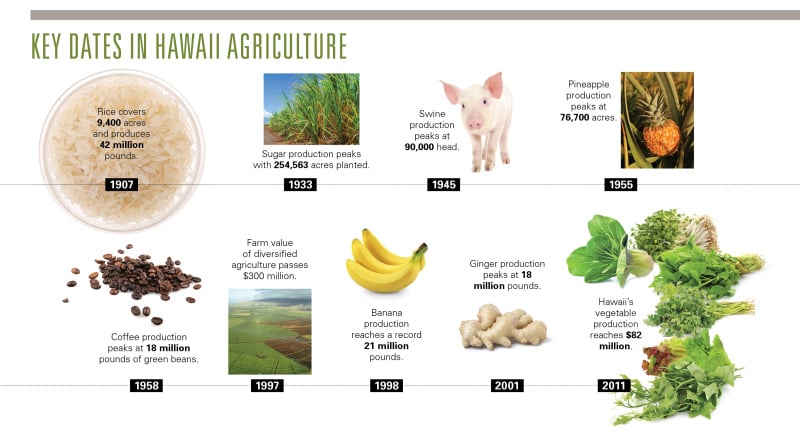 Food Education